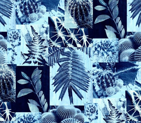 The Blueprints of Nature
